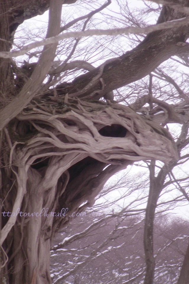 Amethyst Dream Portrait - Image 5