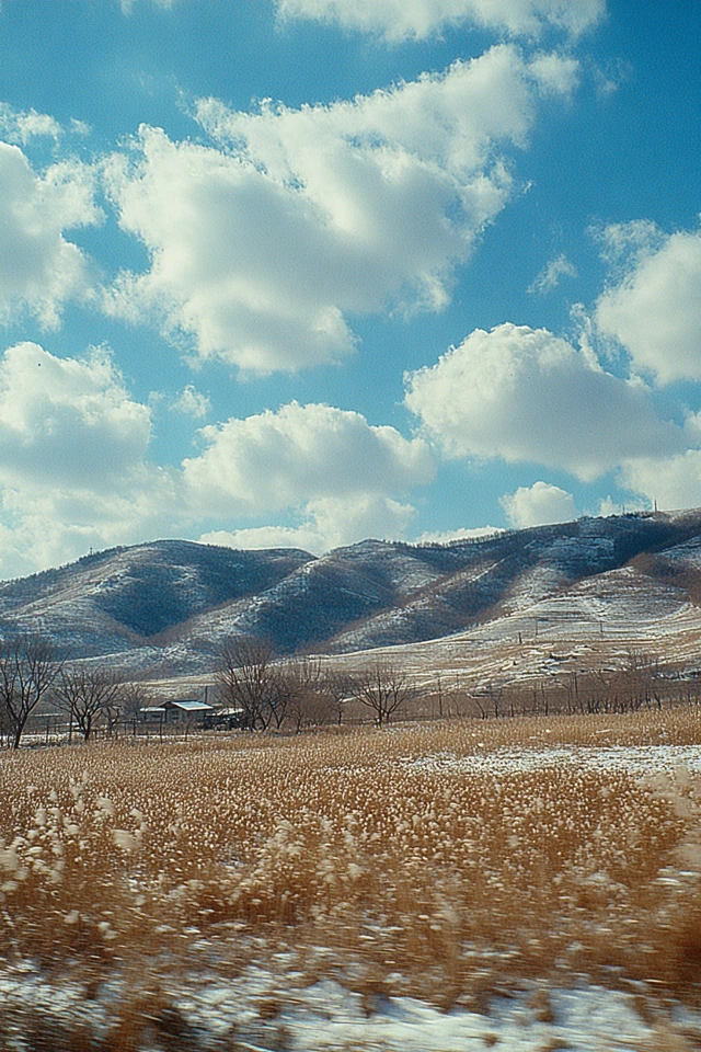 Natural Urban Radiance - Image 2