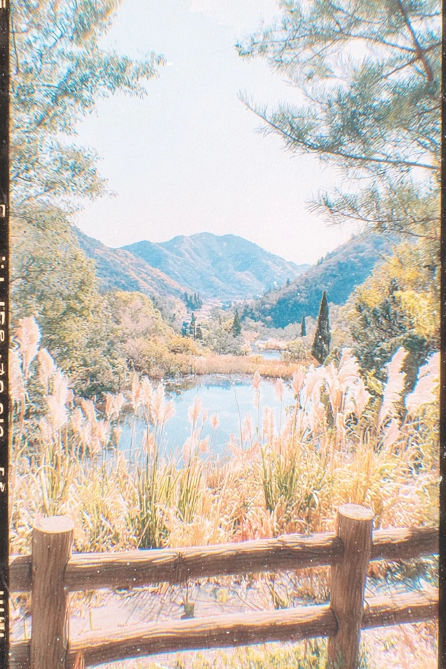 Impressionist Youth - Image 2