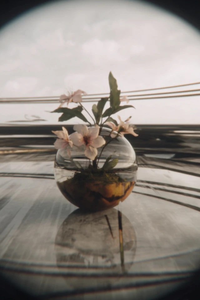 Fragments of a Surreal Dream - Image 3