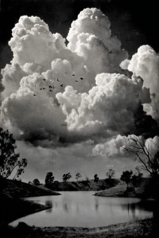 Noir Elegance and Surrealist Dreams - Image 2
