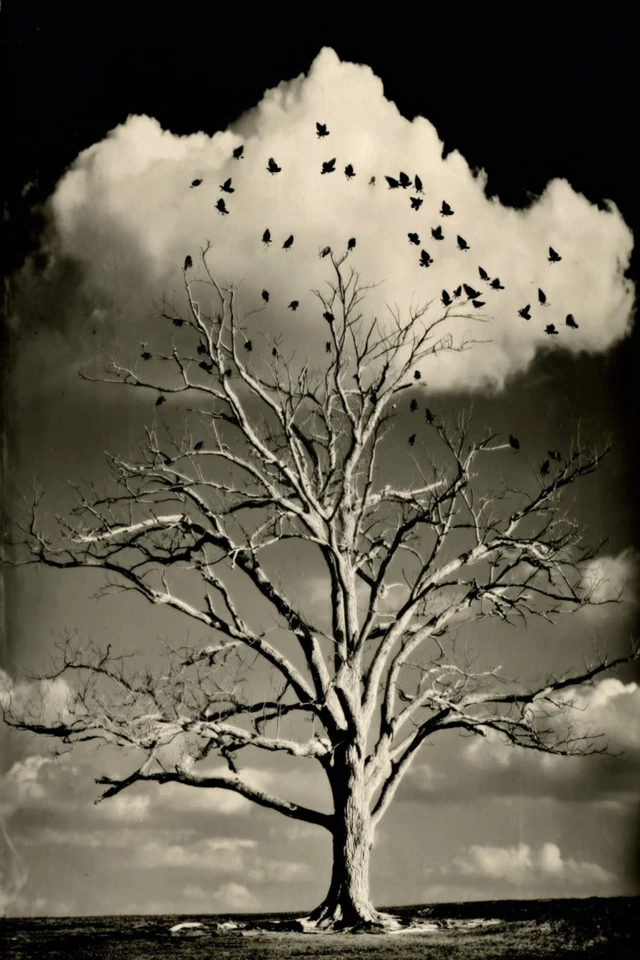 Noir Elegance and Surrealist Dreams - Image 5