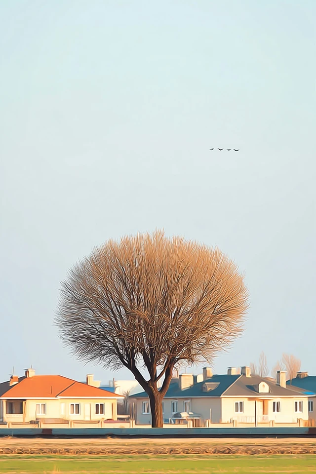 Urban Serenity Portrait - Image 5