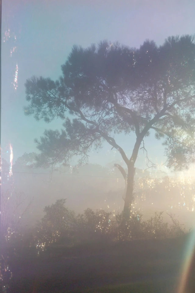 Ethereal Prism Haze - Image 5