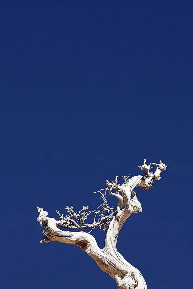 Midnight Blue Elegance - Image 5