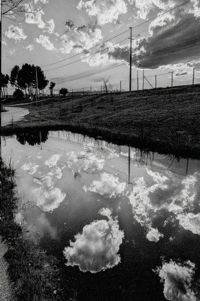 Melancholy Moments in Monochrome - Image 2
