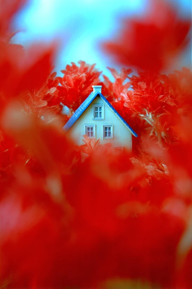 Crimson Haze Vision - Image 6