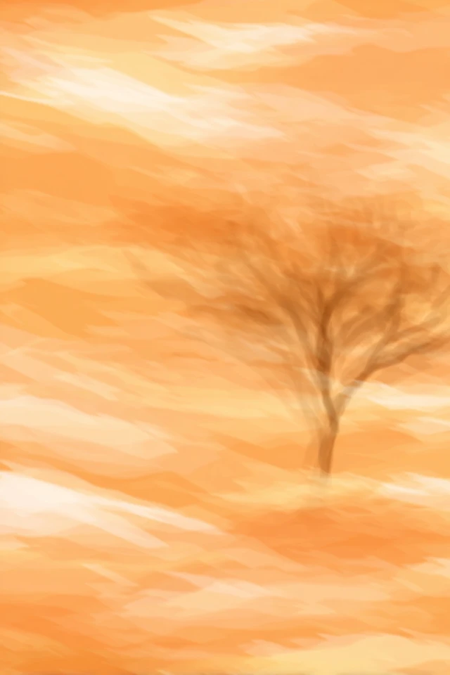 Golden Amber Haze - Image 5