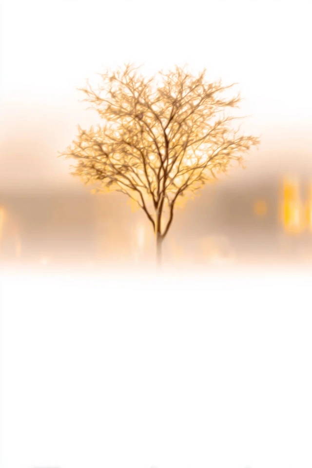Golden Moments of Morning Serenity - Image 5