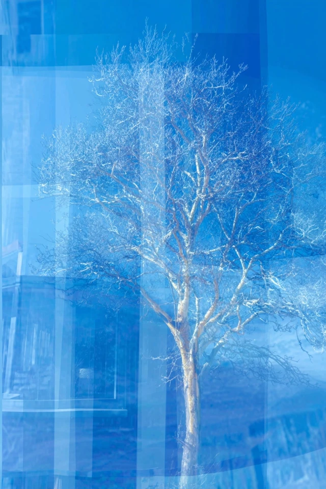 Azure Dreams: A Blue Collage - Image 5
