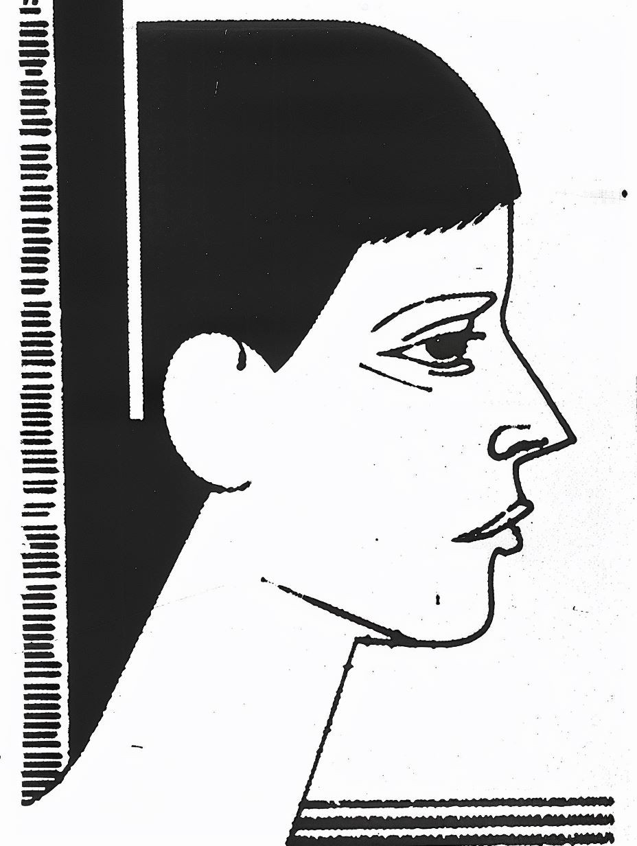 Stark Monochrome Graphic Portrait - Image 4