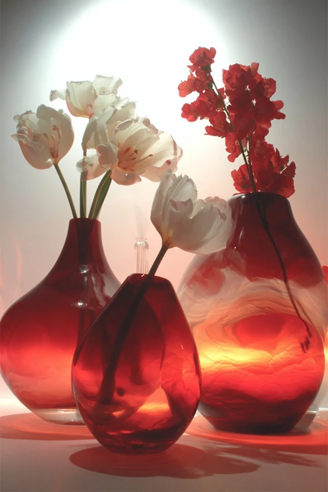 Crimson Veil Silhouette - Image 3