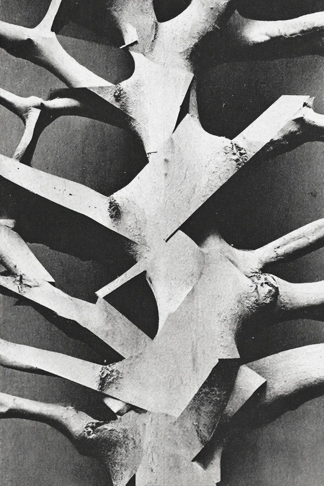 Fragments of a Surrealist Dream - Image 5