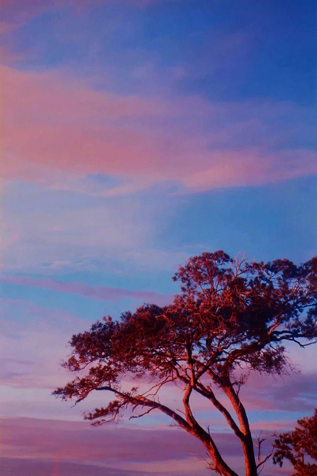 Neon Twilight Reverie - Image 5