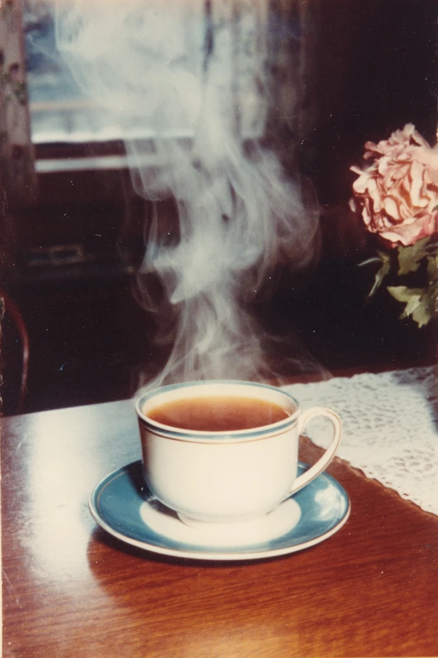 Vintage Analog Nostalgia - Image 4