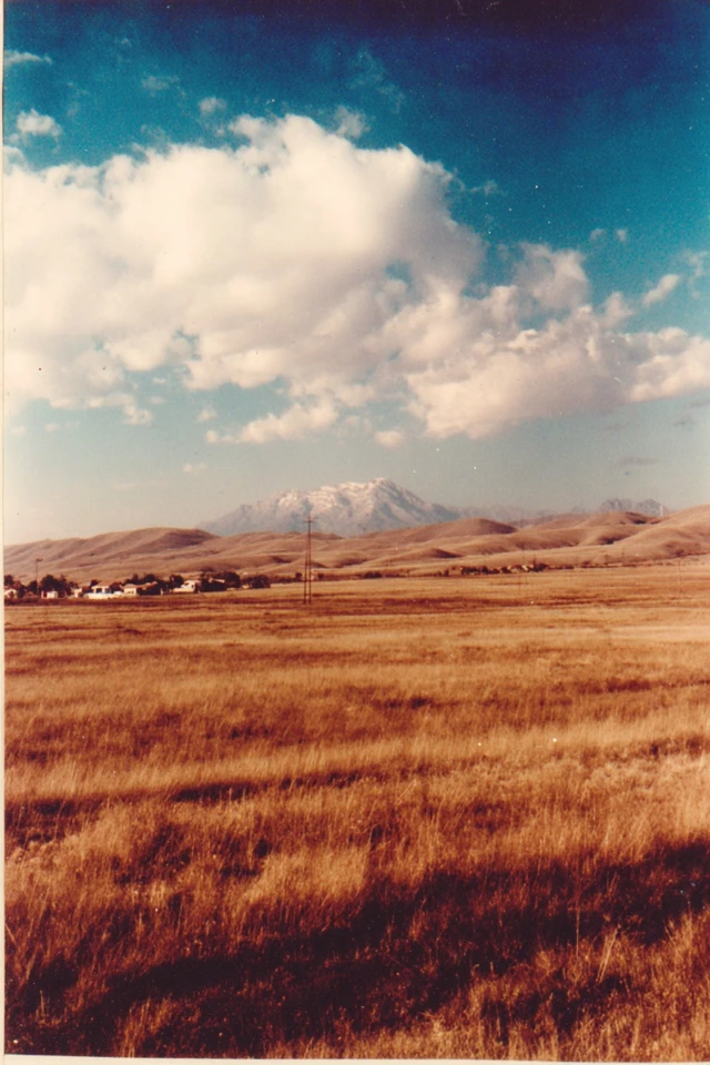 Vintage Analog Nostalgia - Image 2