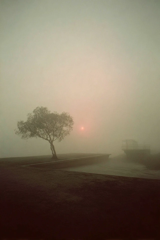 Hazy Echoes of Solitude - Image 2