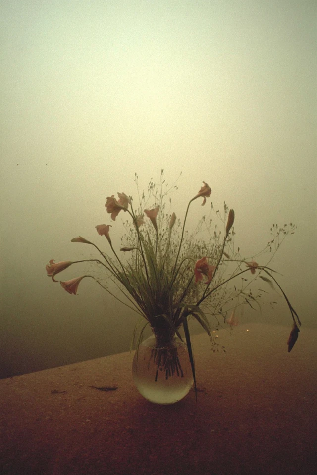 Hazy Echoes of Solitude - Image 3