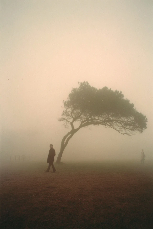 Hazy Echoes of Solitude - Image 5