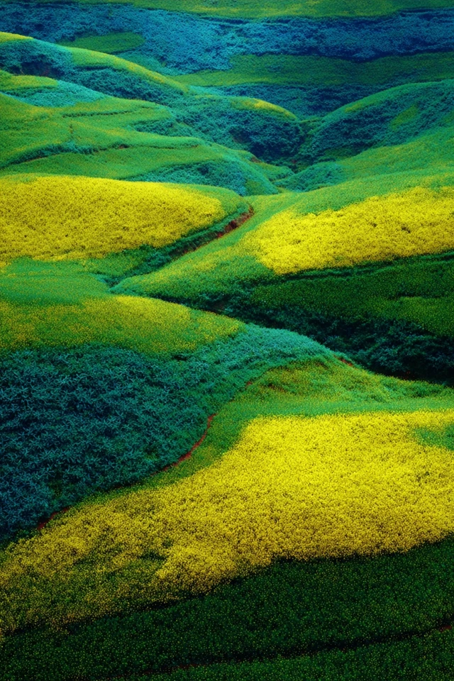 Chromatic Visage - Image 2