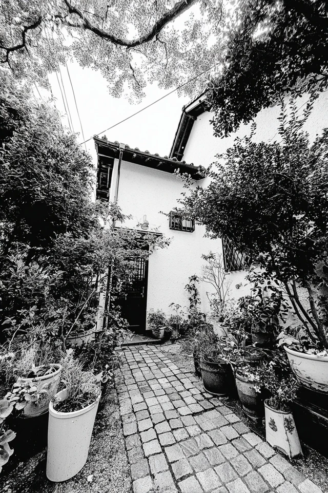 Monochrome Moments of Life - Image 6