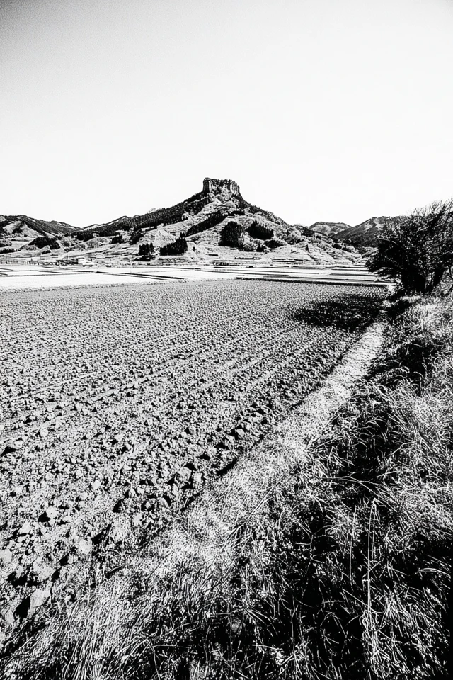 Monochrome Moments of Life - Image 2