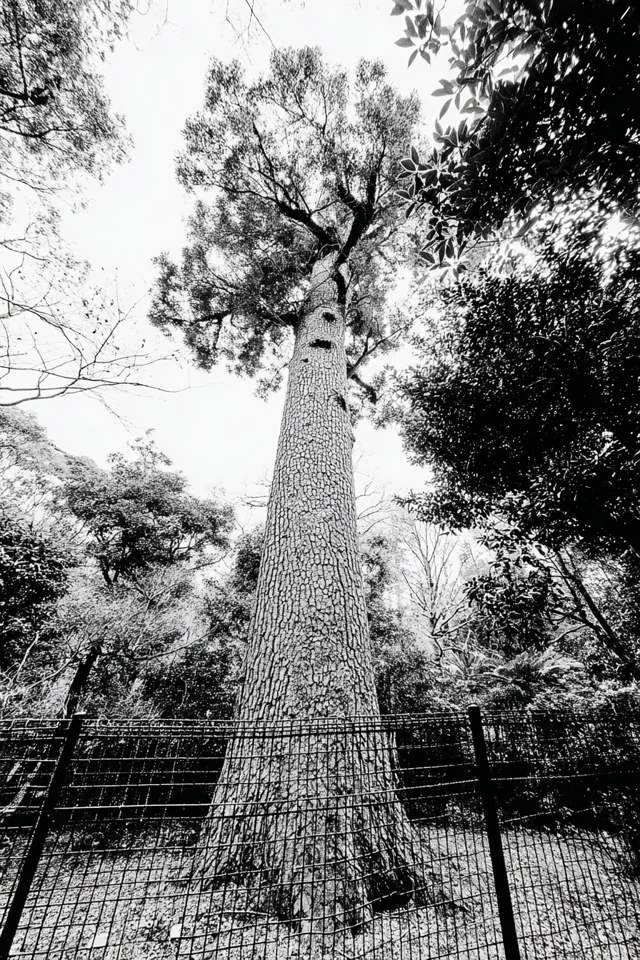 Monochrome Moments of Life - Image 5