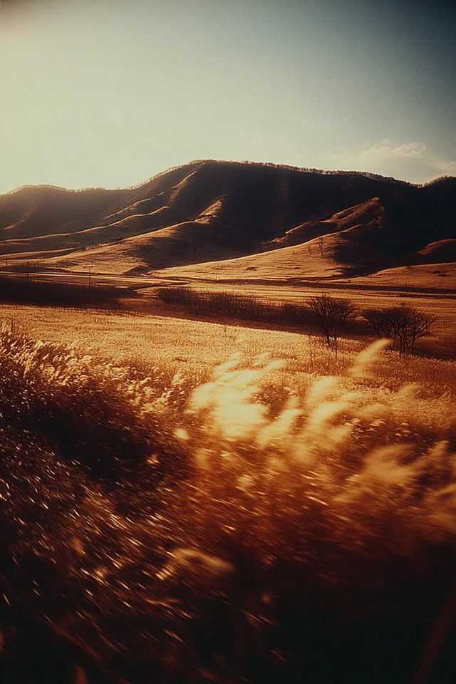Golden Hour Nocturne - Image 2