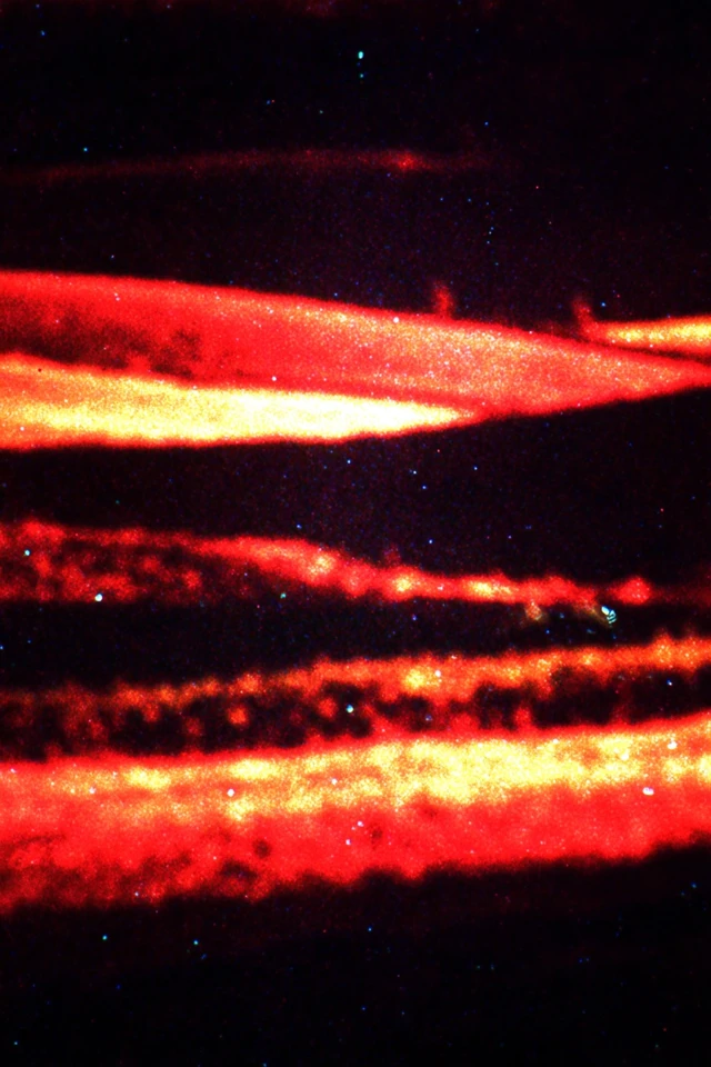 Crimson Static Dreams - Image 2