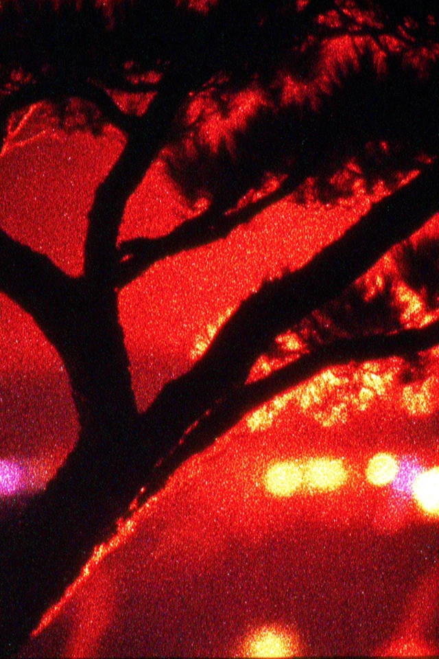 Crimson Static Dreams - Image 5