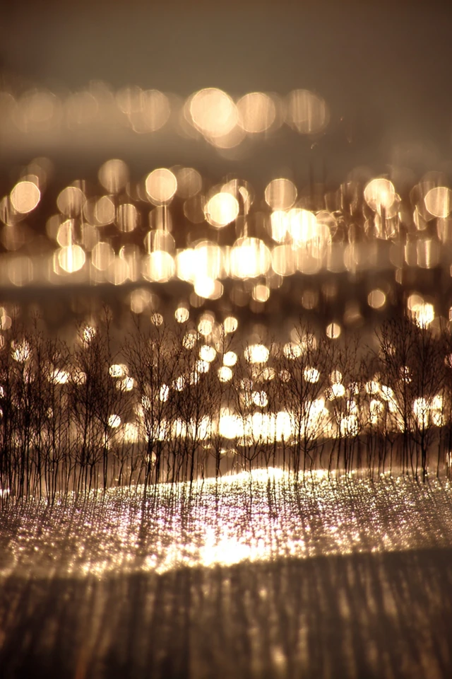 Golden Glimmer Portrait - Image 2