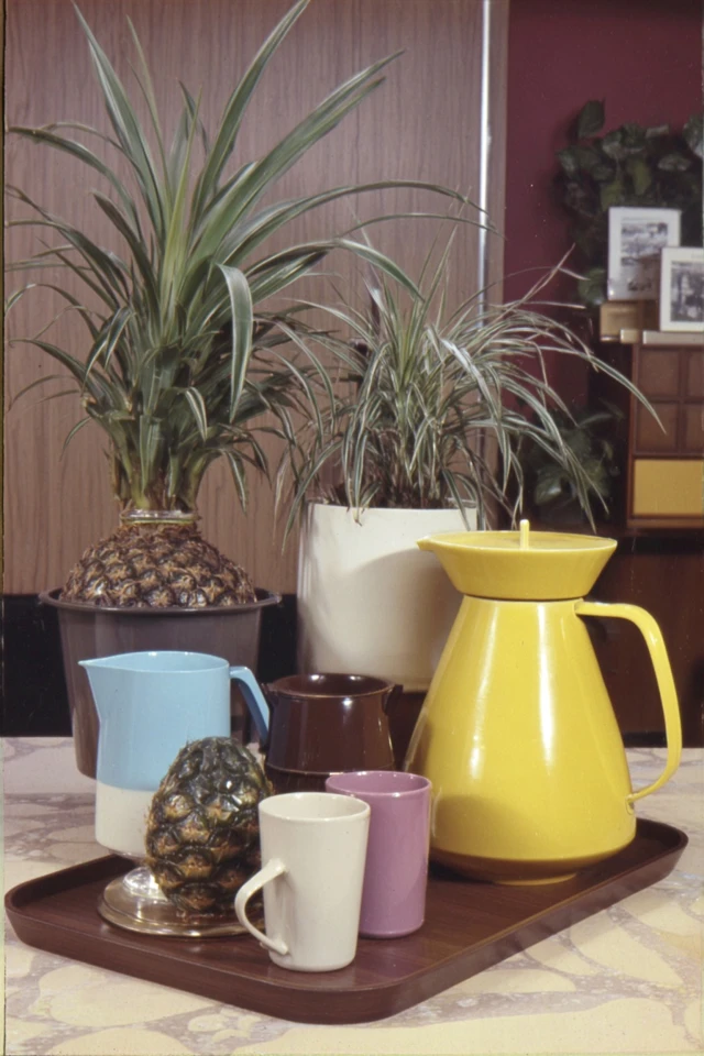 Vintage Golden Hour Nostalgia - Image 3