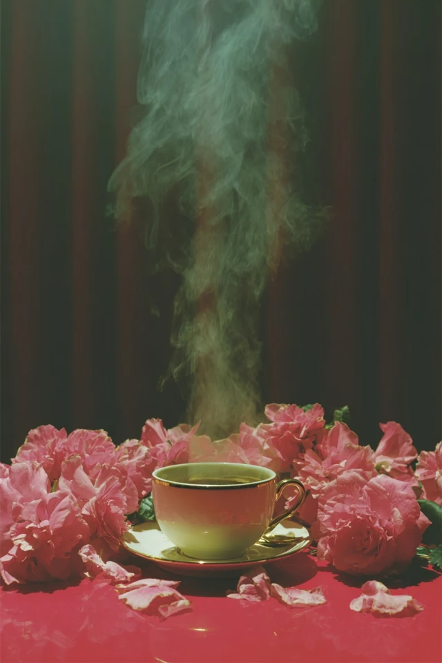 Crimson Dreams and Velvet Hues - Image 4