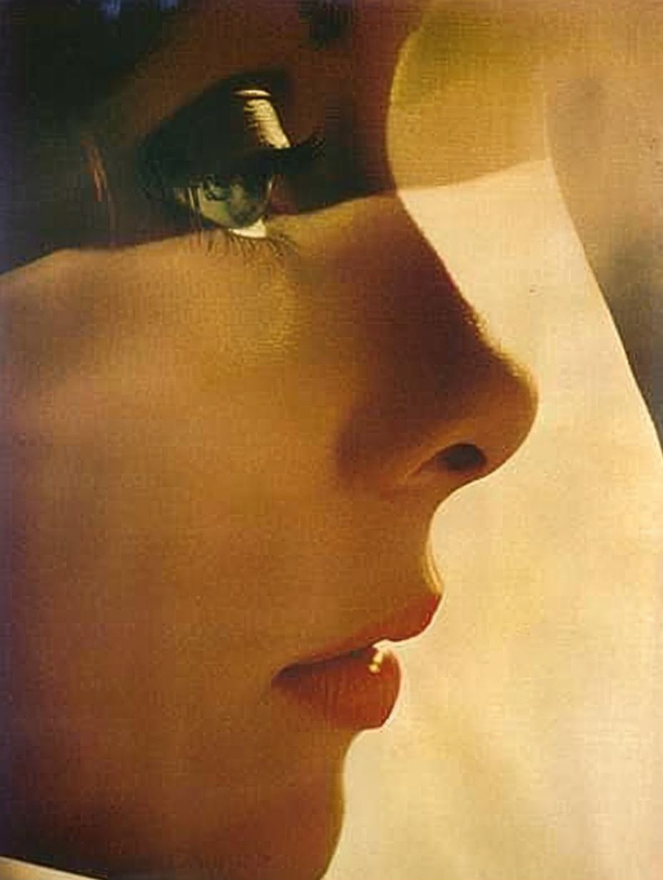 Fragmented Shadows of a Profile - Image 2