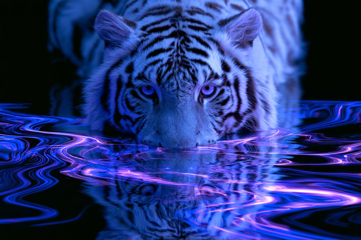 Electric Fractal Mirroring