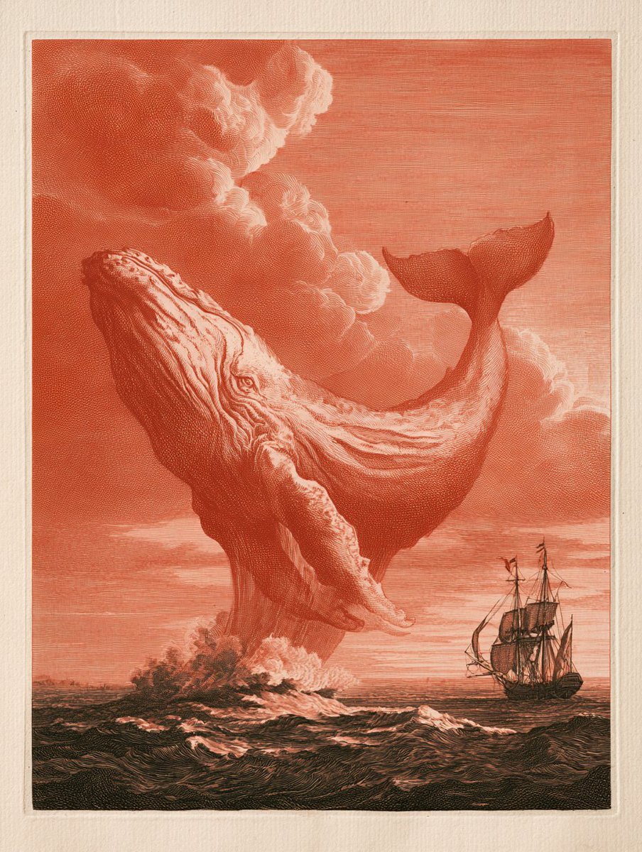 A burin engraving of a [Subject], swelling and tapering l... - alternate