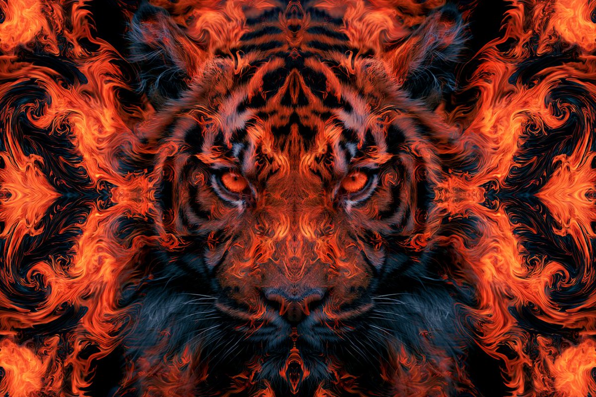 [Subject] transformed into a Kaleidoscopic Fractal Fusion...