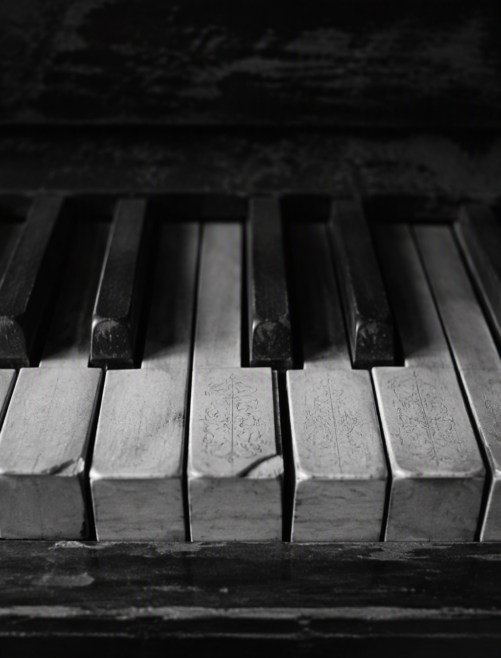 A high-contrast, black and white photo of a close-up of w...
