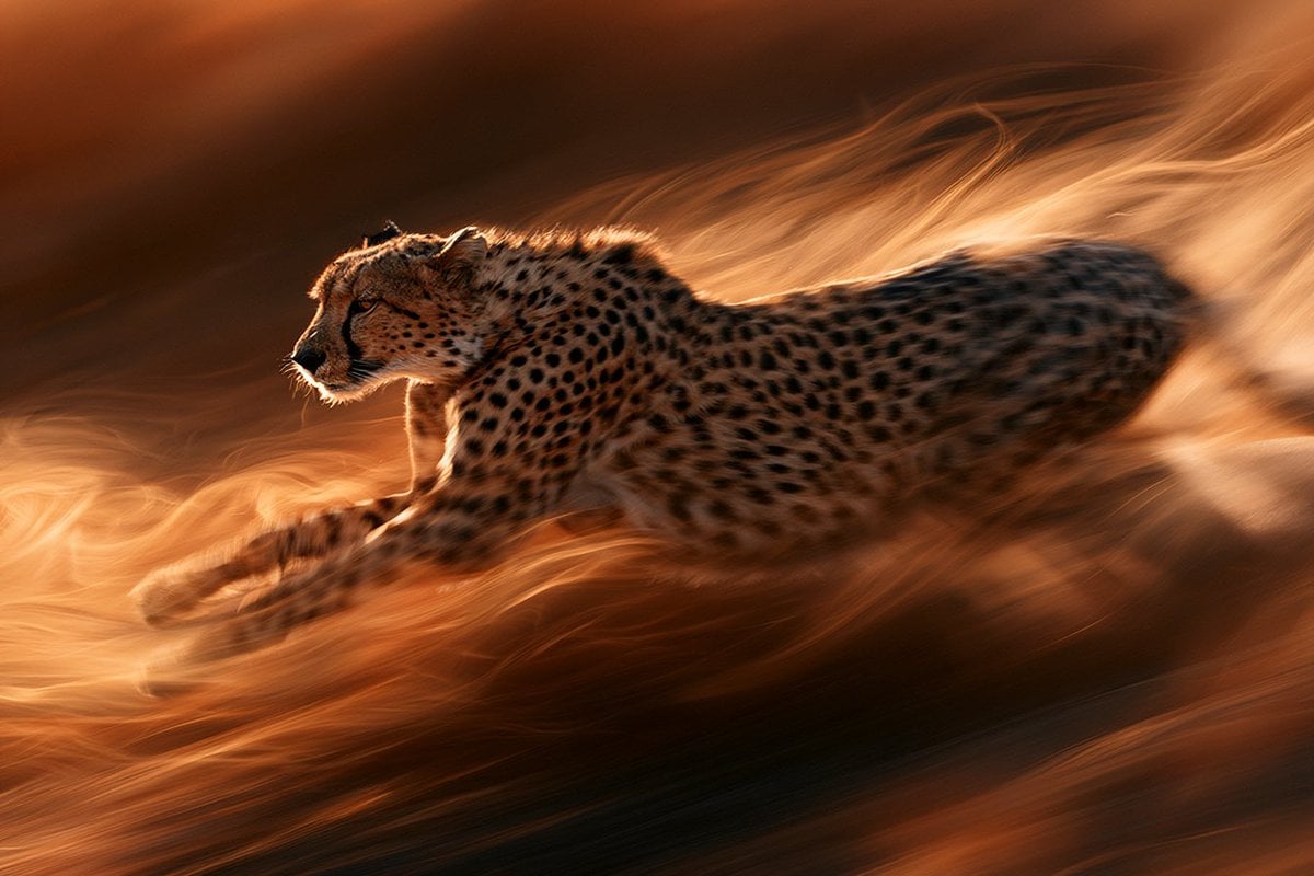Whispers of Velocity surrounding [Subject], where the mot...
