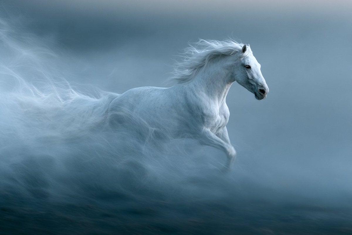 Whispers of Velocity surrounding [Subject], where the mot... - alternate