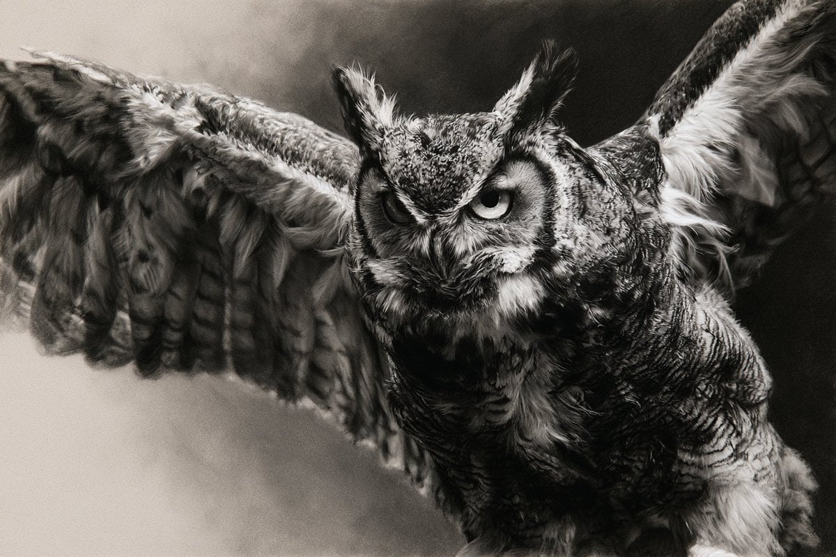 A Photorealistic Charcoal Intensity portrayal of [Subject... - alternate