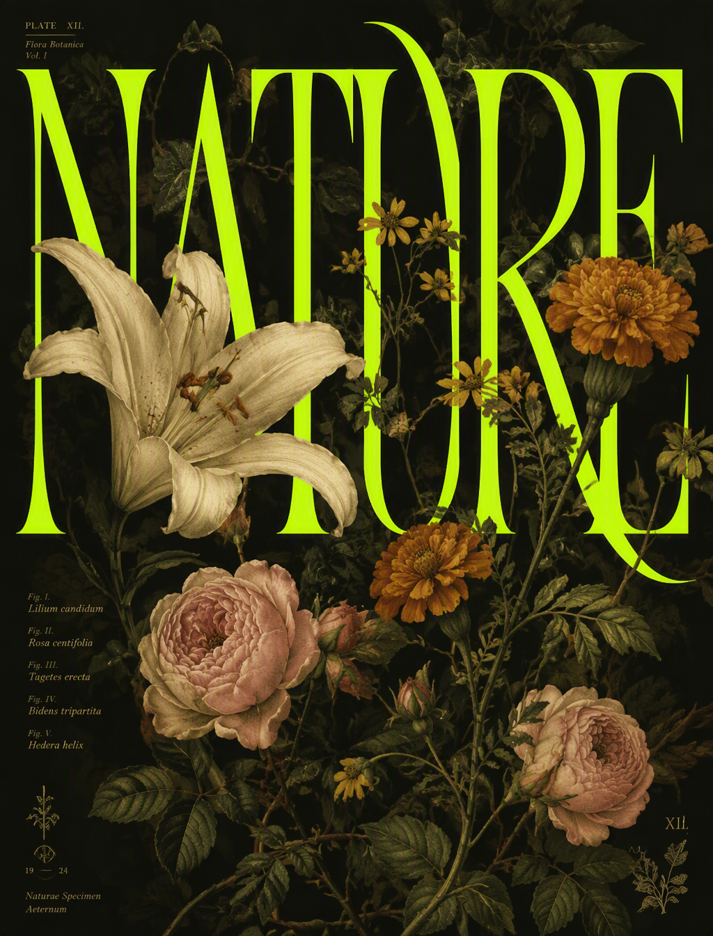 Editorial botanical poster design featuring the exact wor...