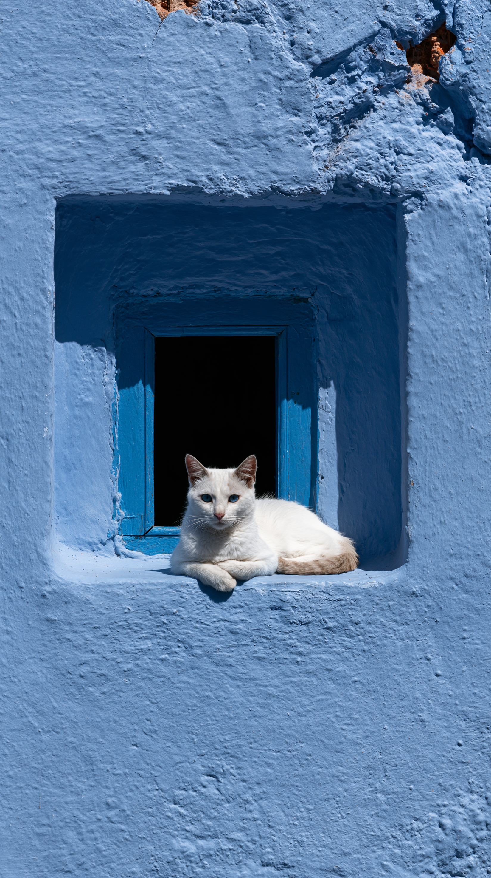 create a blue color wall of a home with a small window an... - alternate