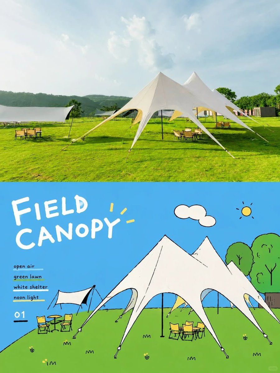 Prompt 1 — Field Canopy