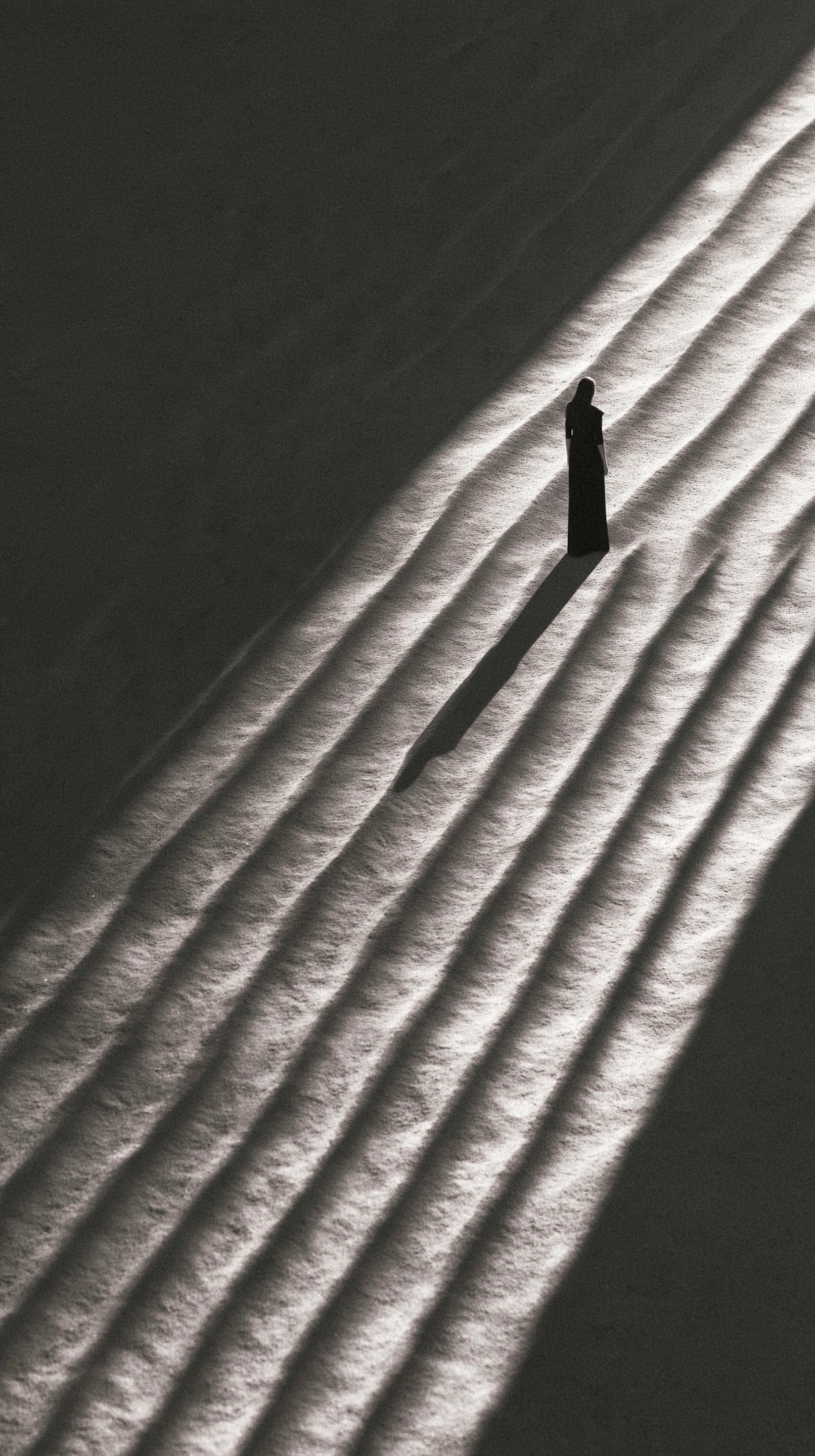 artistic surreal minimalist image, grand master shot, a w...