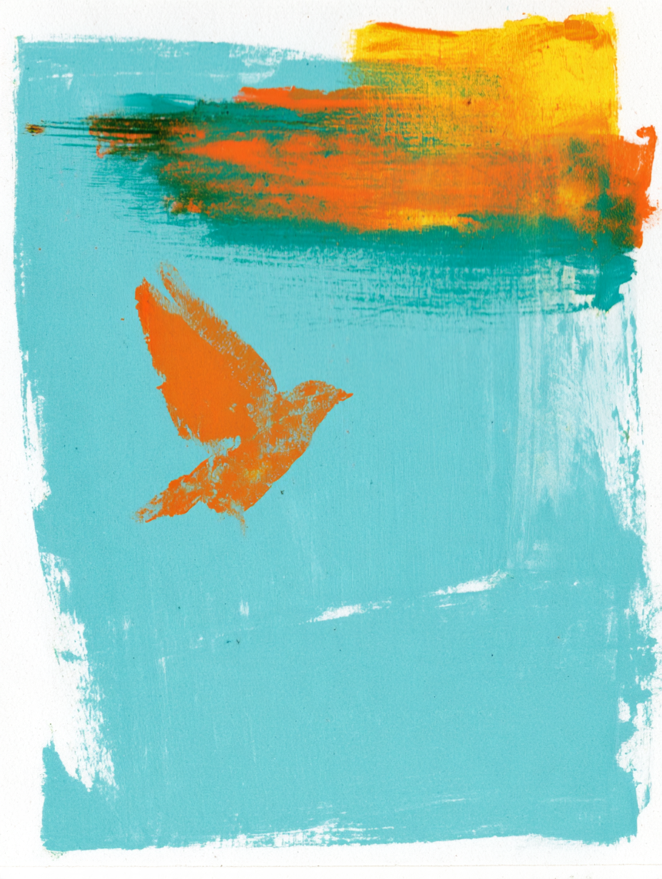 blue sky，bird，cloud。 - alternate